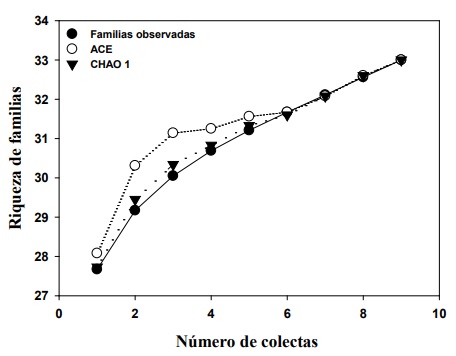 Curva de acumulaci�n de parasitoides (Hymnoptera: Parasitica) en los tres estados sucesionales de la selva mediana subcaducifolia para las familias colectadas con trampas Malaise. 