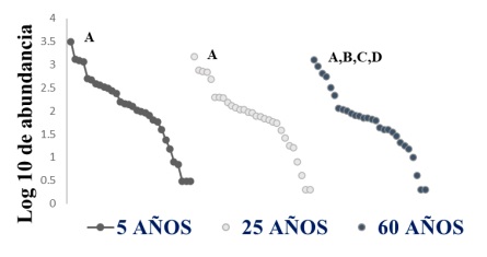 Curvas de rango-abundancia de familias de parasitoides colectadas en tres estados sucecionales de la selva mediana subcaducifolia. Abundancia de las familias fue trazada sobre una escala logar�tmica contra el rango de familias ordenadas por la abundancia, de mayor a menor. Los c�digos de las familias m�s abundantes por estado sucesional: A. Braconidae, B. Diapridae, C. Scelionidae y D. Bethylidae.