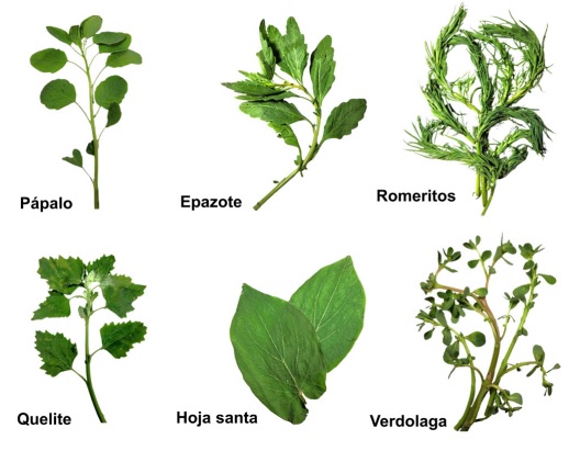 Algunos quelites vendidos en los supermercados del estado de Durango, M�xico. 