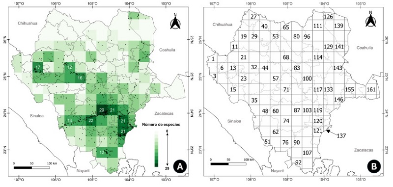 A: riqueza de especies de quelites por celda de (0.29 x 0.29 grados) en el estado de Durango, M�xico. La intensidad del color indica mayor n�mero de especies por celda, mientras que los n�meros blancos indican el n�mero absoluto de especies en las celdas con mayor riqueza. Los puntos negros representan la distribuci�n de todas las especies en el estado. B: Divisi�n del estado de Durango en 165 celdas. Fuente: elaboraci�n propia en Qgis� a partir de la base de datos del Sistema Global de Informaci�n sobre Biodiversidad (GBIF). 
