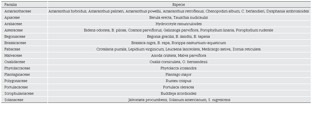 Principales especies de quelites del estado de Durango.