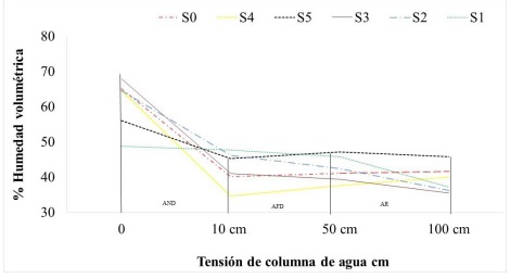 Curva de retenci�n de agua de los seis sustratos (tratamientos ). AND= agua no disponible; AFD= agua f�cilmente disponible; AR= agua de reserva.