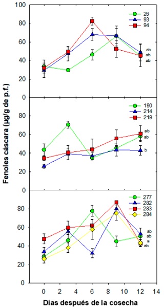 Din�mica de compuestos fen�licos en c�scara (�g/g de p.f.) durante la poscosecha de selecciones de mangost�n en Tuxtla Chico, Chiapas. Cada punto representa la media de cinco repeticiones y su error est�ndar. Letras diferentes entre cada ecotipo indican diferencias significativas de acuerdo con la prueba de Tukey (0.05); la simbolog�a expresada por figuras de colores y n�meros representan a las selecciones.