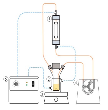 Operation diagram of the enzymatic esterification reaction in the packed bead reactor (PBR) with recirculation. 1: jacketed PBR, 2: jacketed double sidearm Celstir�, 3: magnetic stirrer, 4: peristaltic pump and 5: recirculator water bath with temperature control.