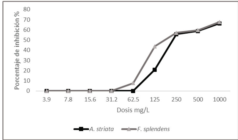 Inhibición de Clavibacter michiganensis subsp.
									michiganensis por extractos de Agave
										striata y Fouquieria splendens
									determinado por el método de micriodilucion en placa.