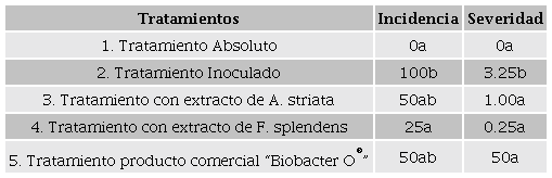 Incidencia y Severidad en follaje de plantas de tomate inoculadas
									con Clavibacter michiganensis subsp.
									michiganensis y tratadas con extractos de
									Agave striata y Foquieria
										splendens.