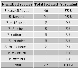 Enterococcus species isolated from chicken viscera identified by biochemical characteristics.