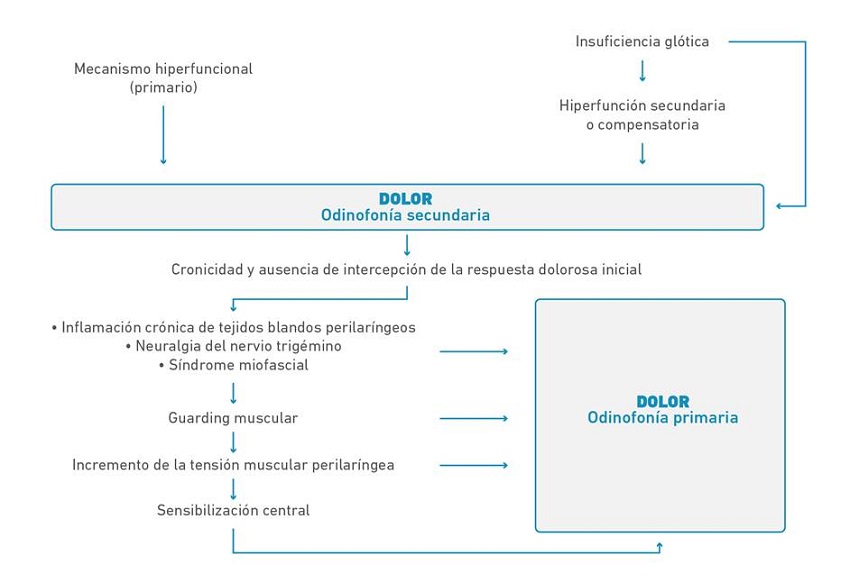 Odinofonía primaria y secundaria.