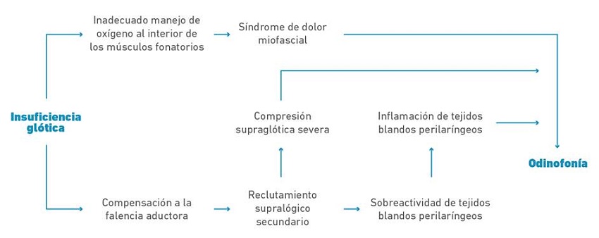 Insuficiencia glótica y su rol en la aparición de la odinofonía.