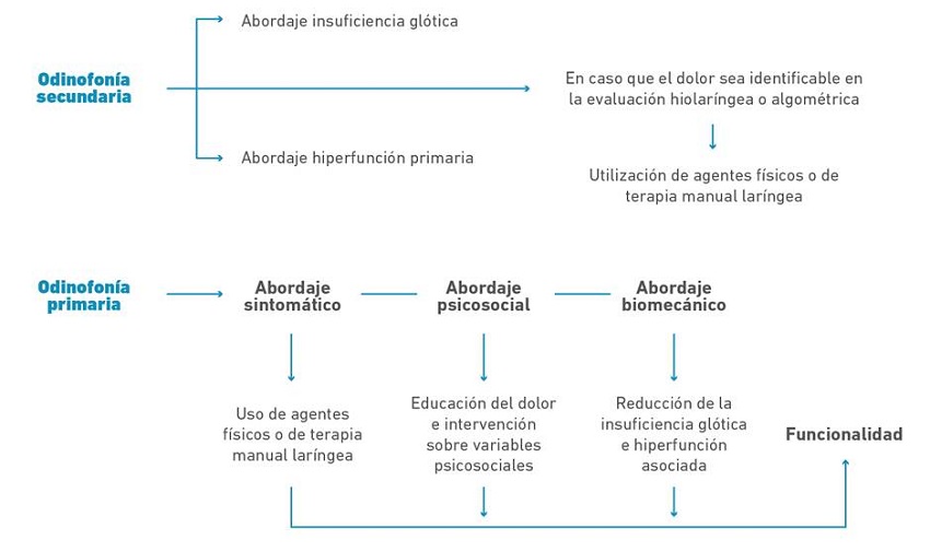 Lineamientos terapéuticos para el manejo de la odinofonía.