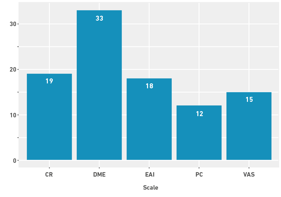 Type of scale used in training