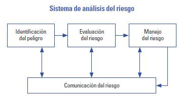Etapas del sistema de análisis del riesgo