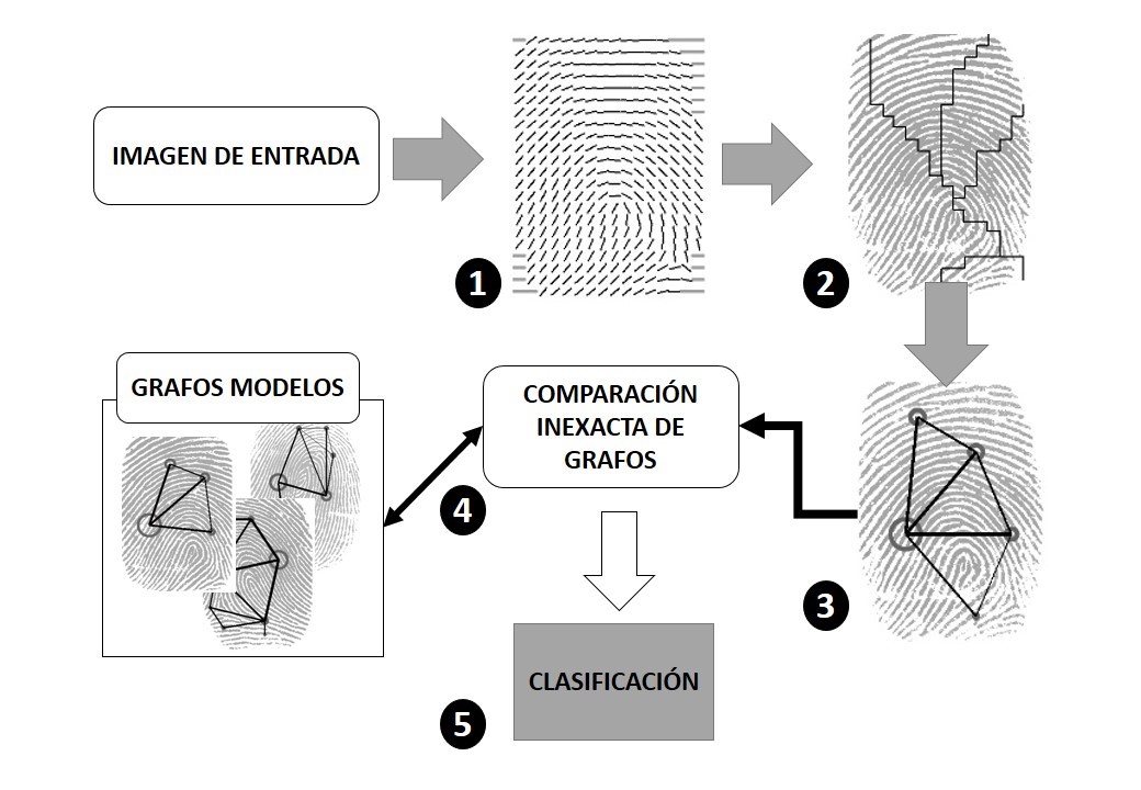 Pasos fundamentales de la propuesta descrita en [7].