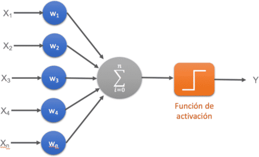 Grfica de una red neuronal Monocapa-Perceptron simple.