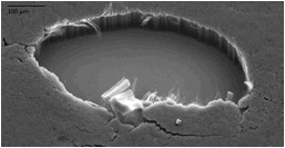 Estructura
interna de una capa de nanotubos de carbono
alineados verticalmente que absorbe alrededor de 99% de la radiación
ultravioleta, luz visible e infrarroja que incide sobre ella.