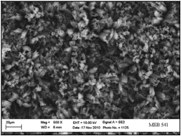 Esta
imagen muestra una vista cercana de nanotubos de carbono huecos. Una capa de este material es percibida por el
ojo humano como un material negro debido a que atrapa la luz e impide su
reflexión.