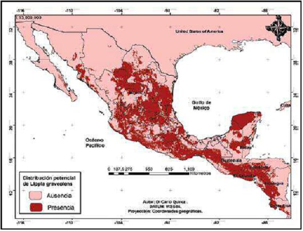 Mapa
elaborado con la distribuci&oacute;n probabil&iacute;stica de las &aacute;reas con presencia de L.
graveolens en M&eacute;xico y Centroam&eacute;rica.