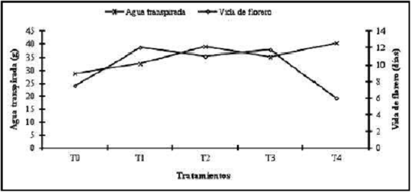 Relaci&oacute;n
entre vida de florero y agua transpirada en girasol (Helianthus annuus L.)
cv. Victoria.