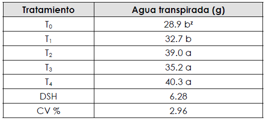 Agua transpirada en inflorescencias de girasol 

ornamental
(Helianthus annuus L.) cv. Victoria