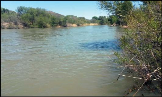Las
concentraciones de Cr obtenidas permiten inferir que el agua del r&iacute;o Conchos se encuentra dentro de los l&iacute;mites
permitidos por la normatividad mexicana para su utilizaci&oacute;n en el sector
agropecuario. 