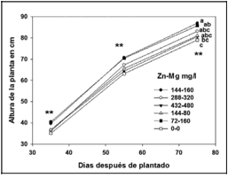 Cin&eacute;tica
en el crecimiento de Lilium &lsquo;Serrada&rsquo; por efecto de
la aplicaci&oacute;n foliar de Zn y Mg. Los datos son la media de 10 repeticiones &plusmn; E.
E. M. 