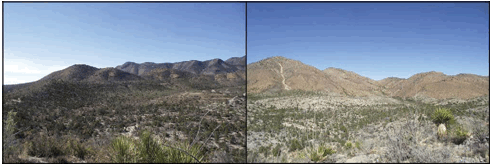 Diferencias de la fisonomía vegetal,
exposición norte (izq.) y exposición sur (der.). Sitio ubicado al noreste de la
sierra, en Sierra Rica, Manuel
Benavides, Chihuahua, México.