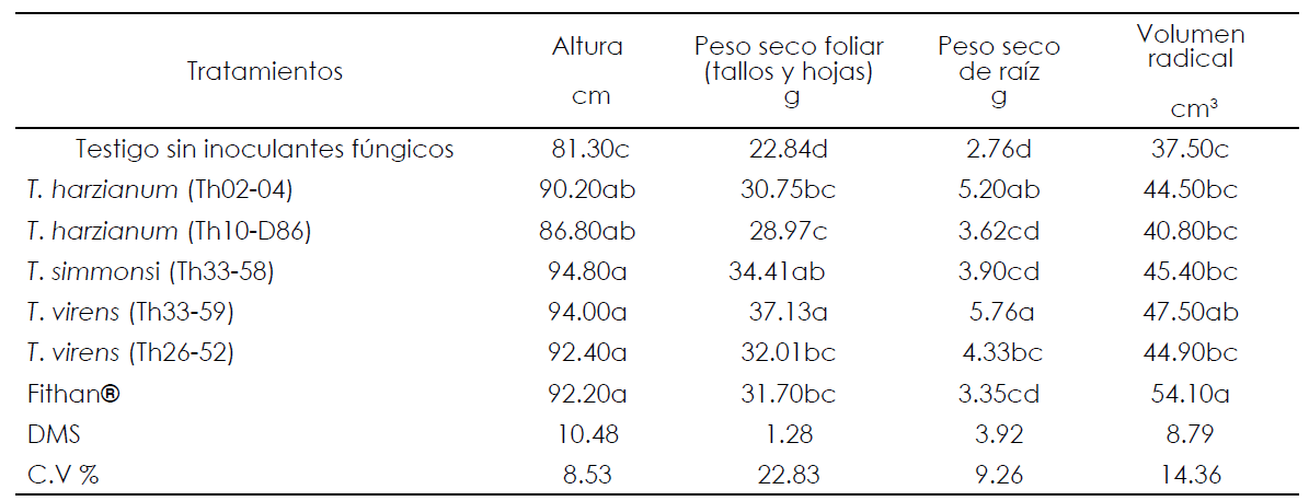 Efecto de las especies de Trichoderma en el crecimiento y desarrollo de plantas de tomate en condiciones
protegidas