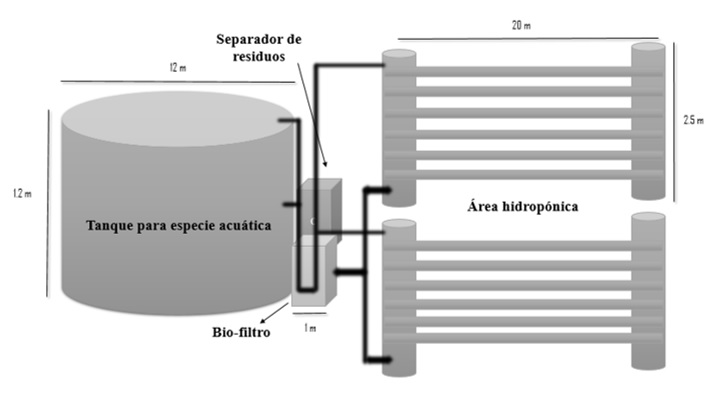  Diseño del sistema productivo bajo acuaponia.