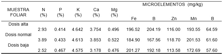Concentración de nutrientes en hojas por tratamiento