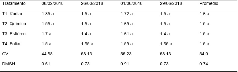 Promedio de número de frutos por rama de lima 'Persa' con fertilización química y orgánica en diferentes fechas de evaluación. México, 2018