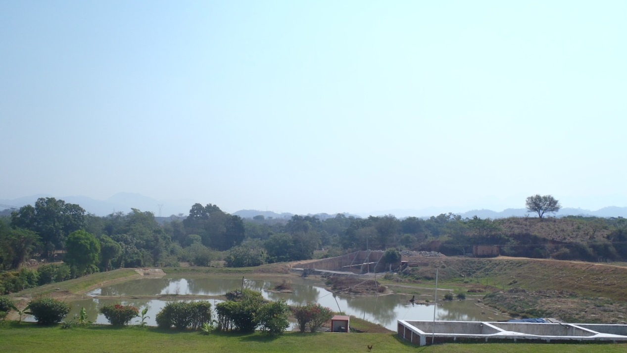 Unidad acuícola en desarrollo, municipio de Minatitlán, Colima.