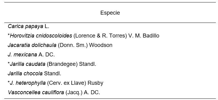 Especies de la familia Caricaceae presentes en México de acuerdo con Villaseñor (2016) y Antunes Carvalho y Renner (2013)