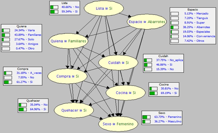 Aspectos de organización del  hogar  por sexo y lugar de compra de alimentos. Quiena= Quien acompaña a comprar, Cuidah= Cuida a los hijos.
