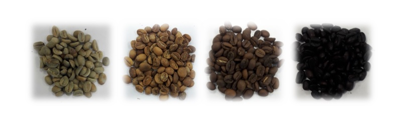 CAFE TAL - ¿Conoces la diferencia entre el grano robusta y arábica? En Café  Tal contamos con ambos granos, ¡recién tostado, todos los días!😺