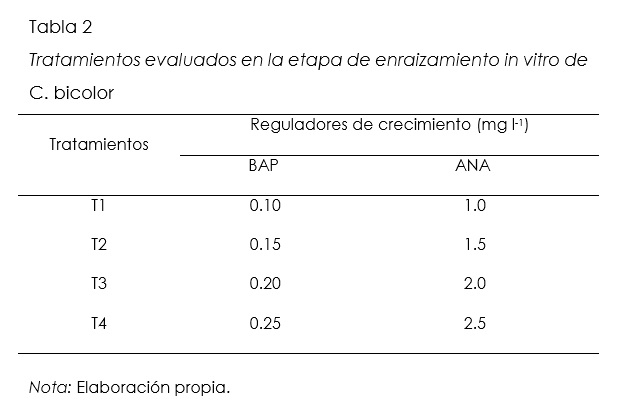 Tratamientos evaluados en la etapa de enraizamiento in vitro de C. bicolor