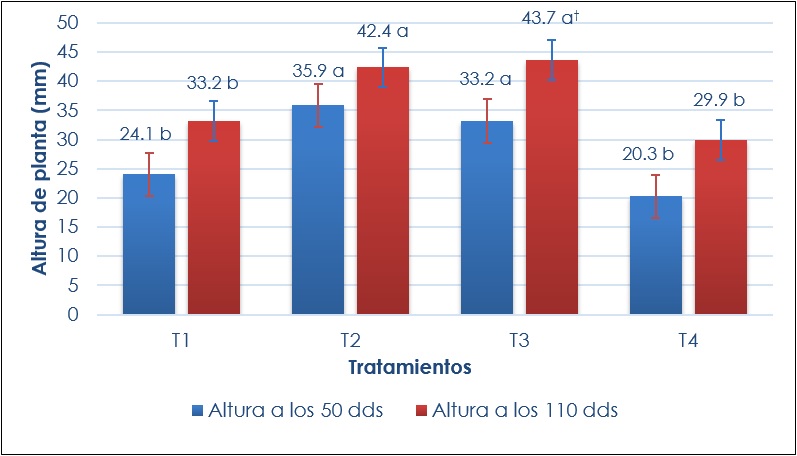 Comparacin de medias de altura de planta de C. bicolor registradas al final de cada etapa de produccin in vitro (dds: das despus de la siembra). †Letras iguales en barras del mismo color indican que no hay diferencias (Tukey, p ≤ 0.05). DMSH (diferencia mnima significativa honesta)= 6.84 (50 dds) y 10.73 (110 dds). Lneas verticales sobre las barras representa el error estndar.