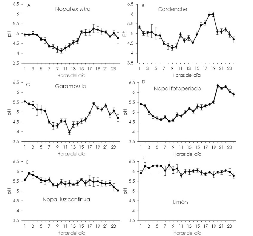 Variaciones de pH durante un da. Anlisisde tres cactceas cultivadas ex vitro;(A) nopal, (B) cardenchey (C) garambullo;de nopal cultivado in vitro en (D)fotoperiodoy (E) luz continua;(F) limn.