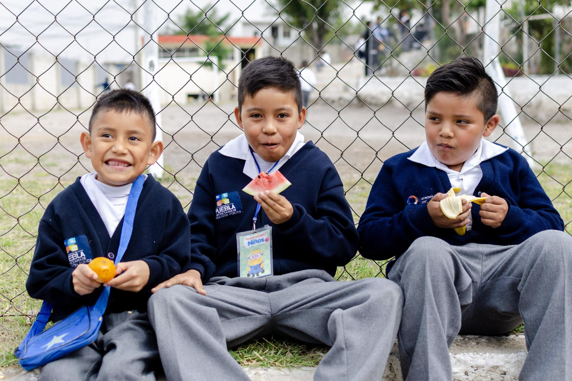 Hbitos alimentarios en escolares mexicanos.