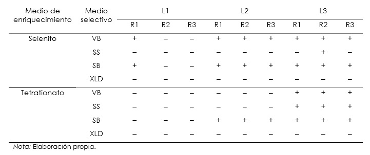 Resultados del crecimiento de Salmonella spp. en diferentes medios selectivos
