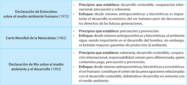NORMAS INTERNACIONALES QUE ESTABLECEN PRINCIPIOS DE PROTECCIÓN AMBIENTAL Y SU RELACIÓN CON LAS DIFERENTES VISIONES AMBIENTALES