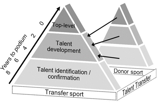 TT within the developmental framework