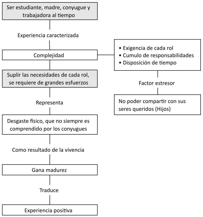 Experiencias multiplicidad de roles