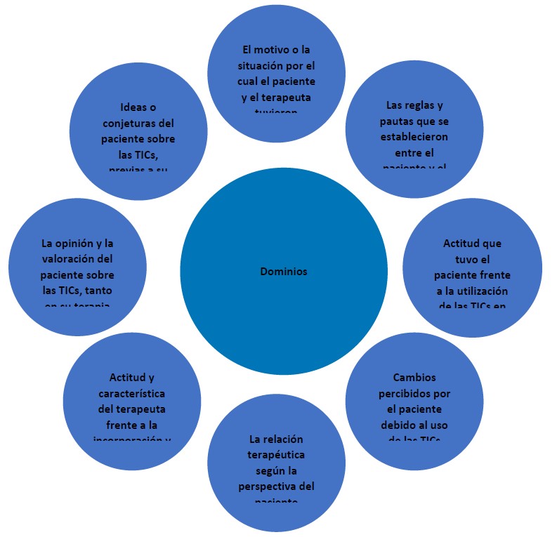 Dominios identificados durante las entrevistas