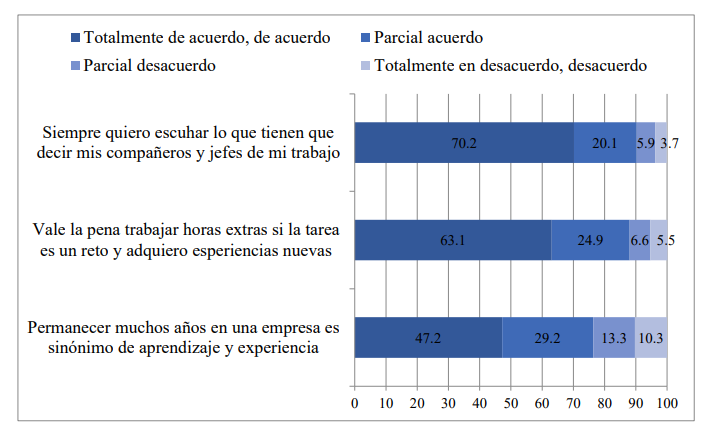 Dimensión estabilidad y línea de carrera