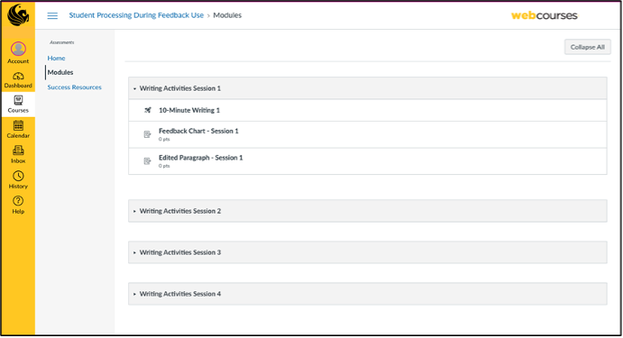 Canvas Module Example