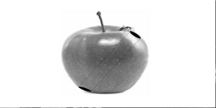 Uma formiga refletindo sobre o seu bulk de recheio de ma&ccedil;&atilde;