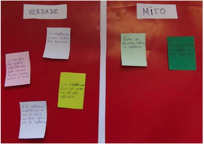 FIGURA 5: Jogo "Derrubando Mitos"