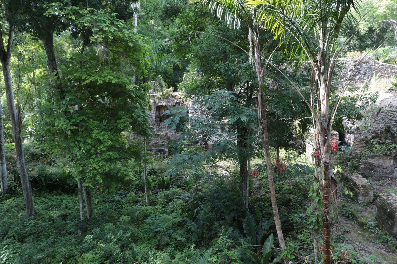 San Clemente, 10 a�os despu�s de la restauraci�n.