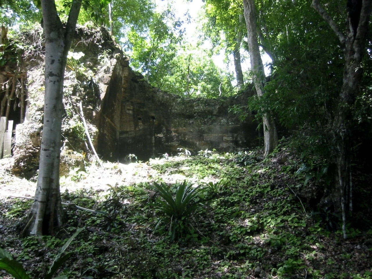 Cuarto 4 del Edificio 6J2 de La Blanca (Petén, Guatemala), antes del inicio de las labores de excavación.