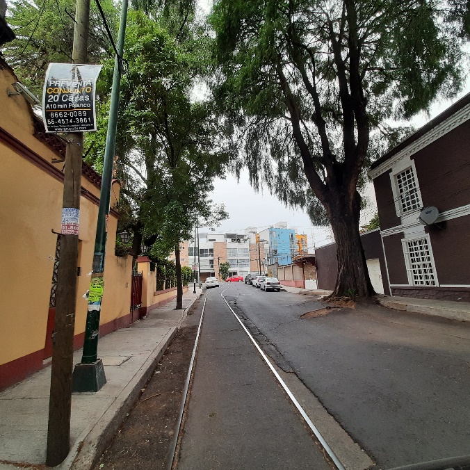 El valor contextual hist�rico mostrado por la vegetaci�n y las huellas del antiguo tranv�a, parte de la vida cotidiana de otros tiempos